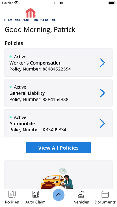 Team Insurance Brokers Screenshot