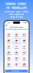 Video Translator with subtitle screenshot