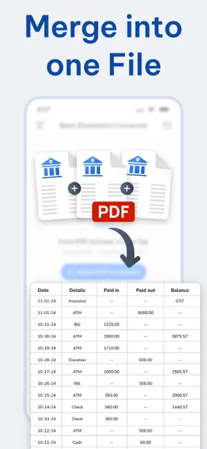 Bank Statement Converter: XLSX screenshot 2
