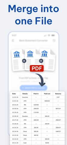 Bank Statement Converter: XLSX iPhone screenshot