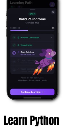 Learn Python Coding - LeetPal screenshot