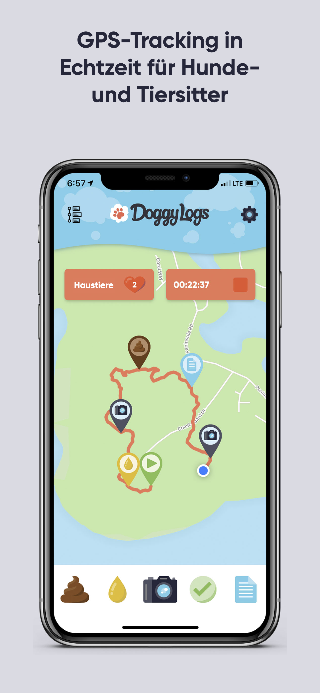 Doggy Logs