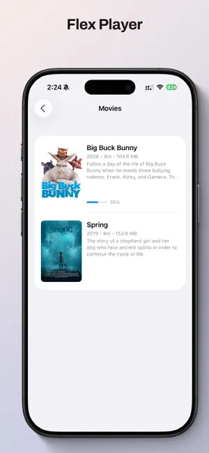 Flex Player screenshot 1