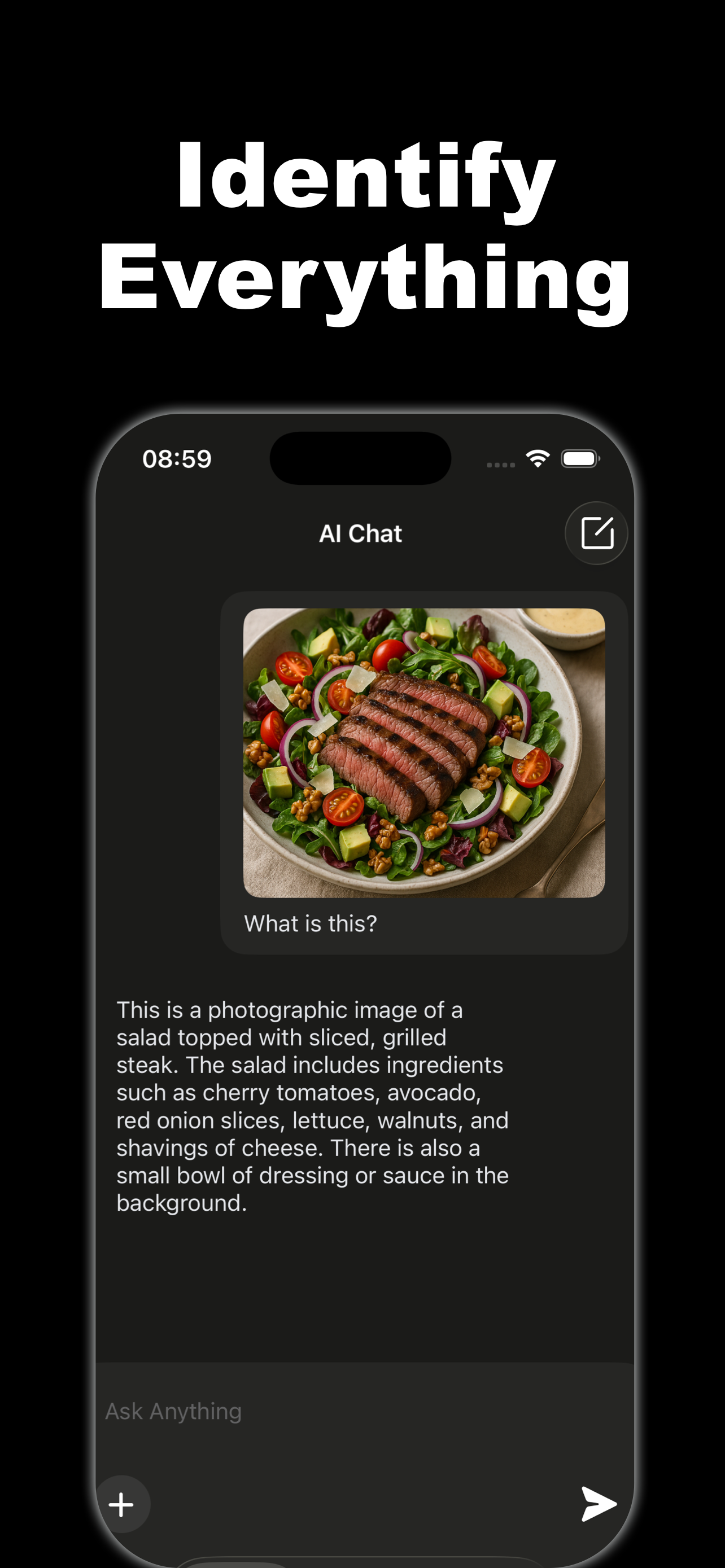 AIChatni: AI Chat & Creation