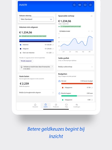 Rabobank iPad screenshot 3