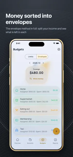 Eluna Budget: Expense Tracker screenshot 4