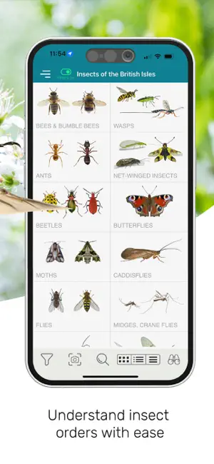 ID UK insects screenshot 3