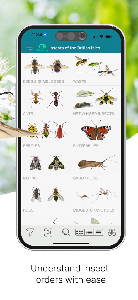 ID UK insects - Reference App | MWM