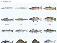 Fiskeplaneten ipad bilder 2
