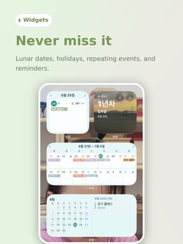 Haru: Your Day at a Glance iPad screenshot