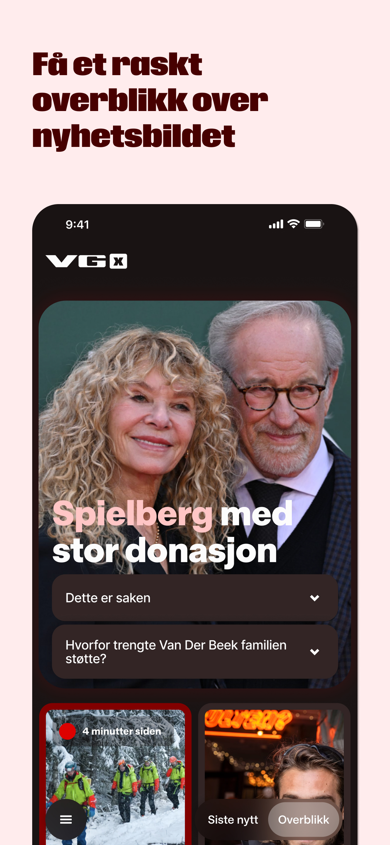 VG X