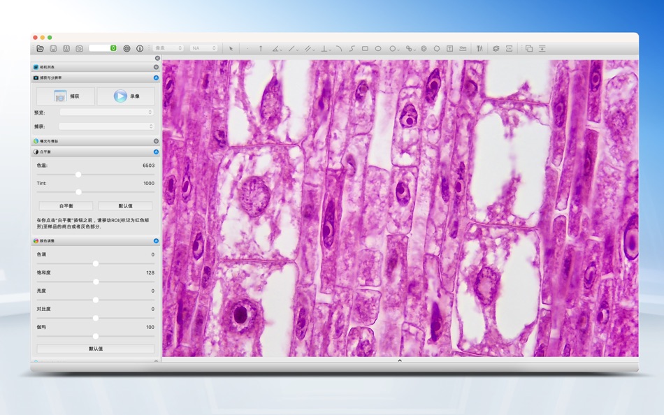 #1. ToupLite (macOS) 由: Hangzhou ToupTek Photonics Co., Ltd