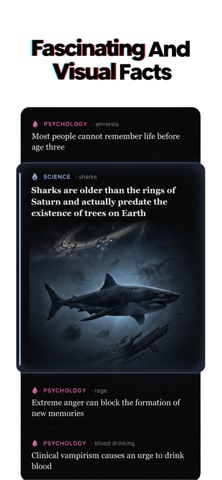 Stacky: Facts, Stories & Quiz screenshot