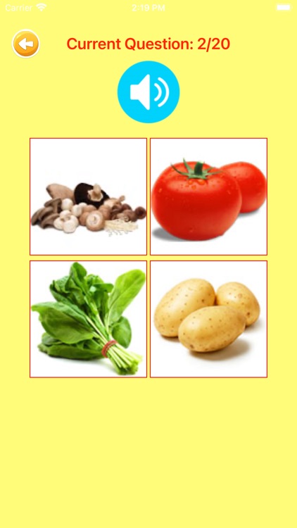 Learn Portuguese For Beginner screenshot-3