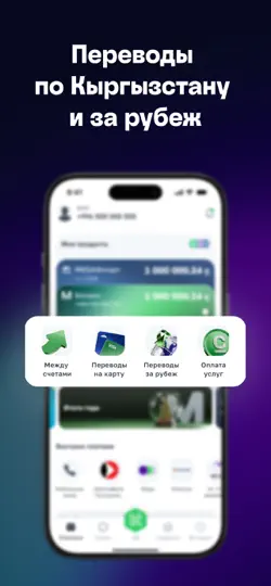 Скриншот MegaPay на iPhone 2