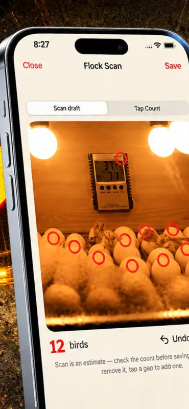 Coco Feed: Burn screenshot 3 of 5