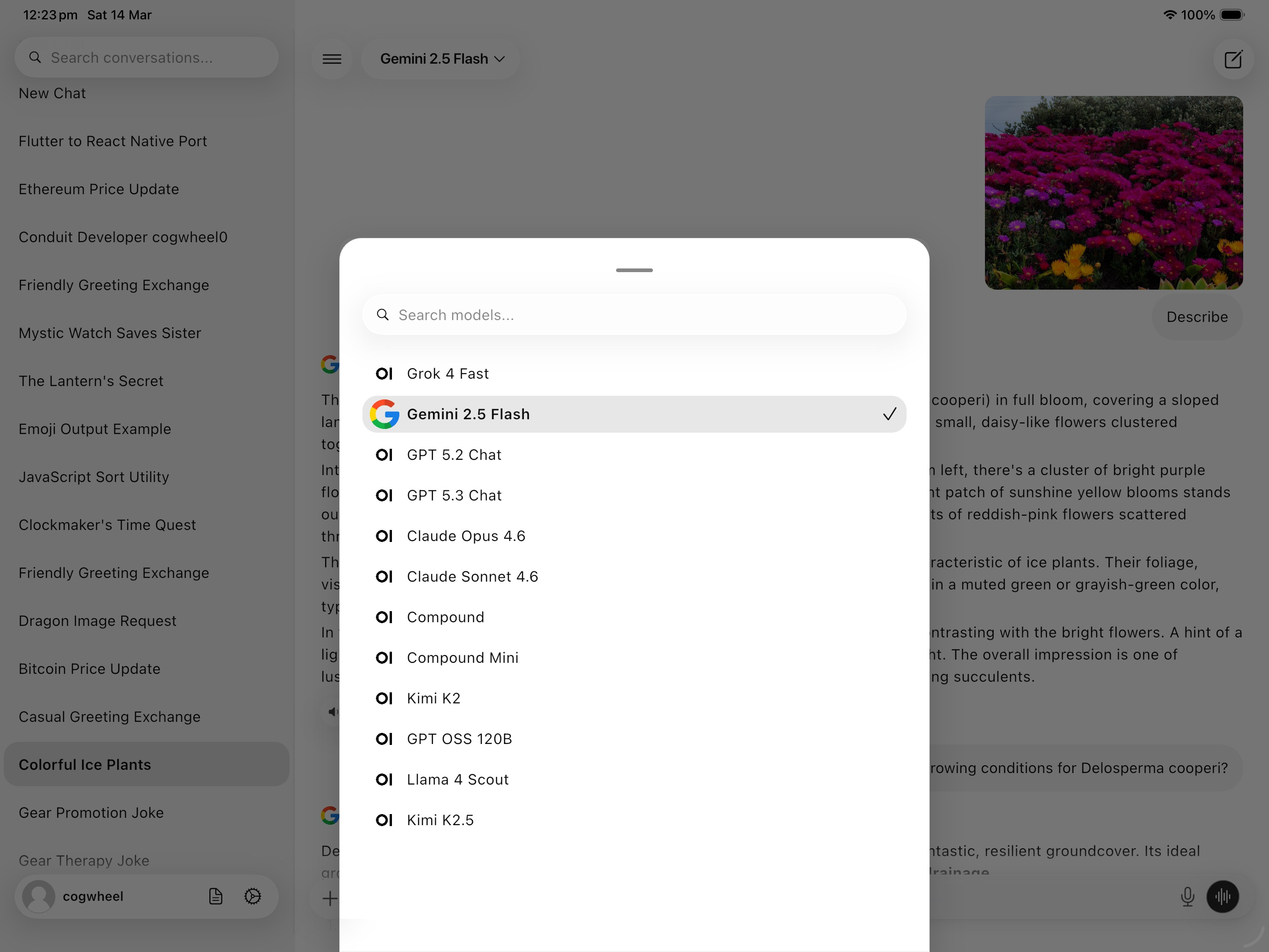 Conduit: OpenWebUI Client screenshot 7