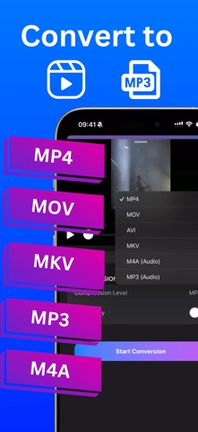 VidSlim: 转换和压缩 screenshot