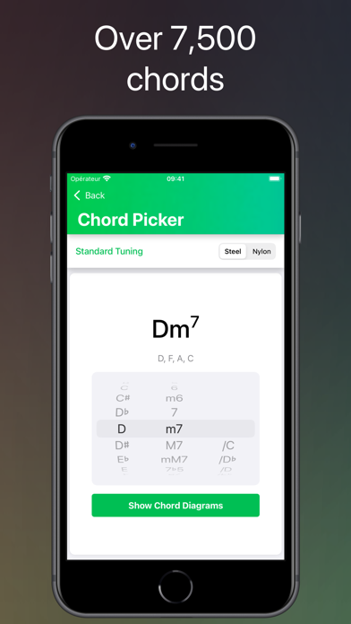 ChordShapes : Guitar Chords Screenshot