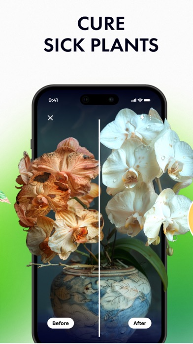 Plant Identifier: by Picture Screenshot