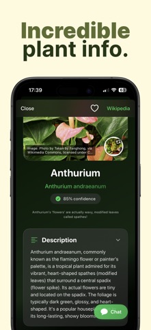 Plant Hero: AI Plant ID & Care screenshot