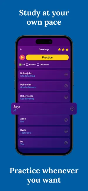Learn Slovenian (Beginners) screenshot 3