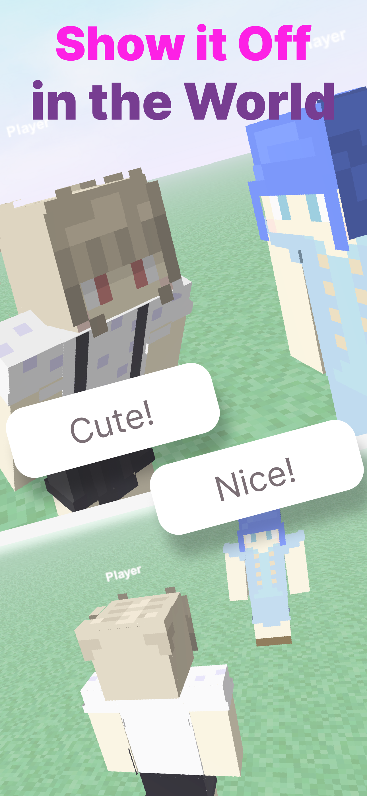3D Skin Designer for Minecraft