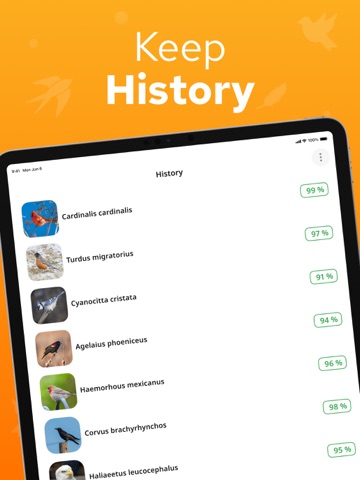 Bird Identifier – Birdium iPad screenshot