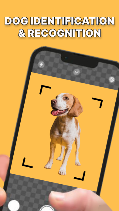 Dog Identification-DogScanner Screenshot