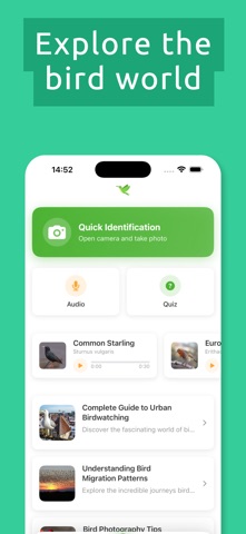 Bird Identifier: Kurdelyun Screenshot 6 of 6