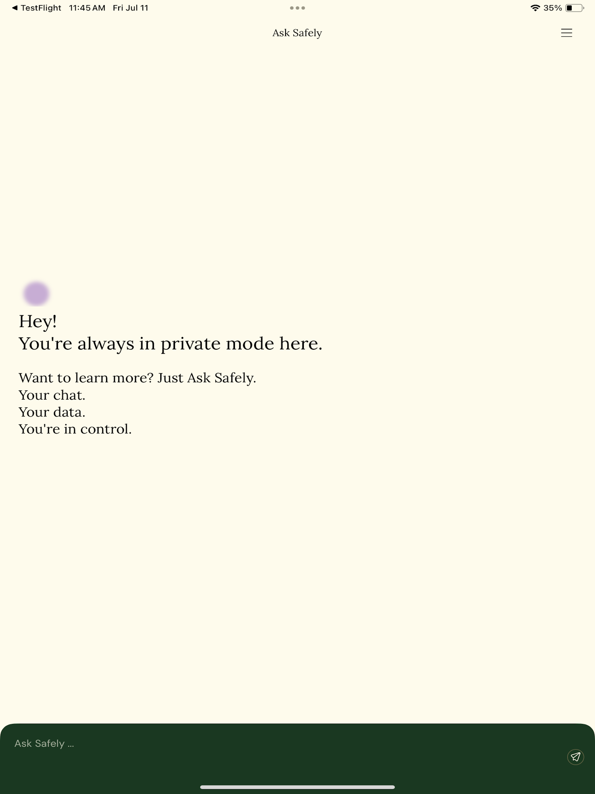 Ask Safely: Private AI Chat screenshot 14