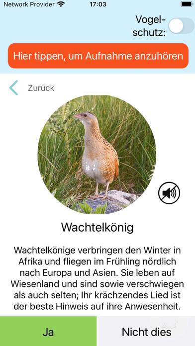 Screenshot #3 pour Zwitschomat - Vogelerkennung