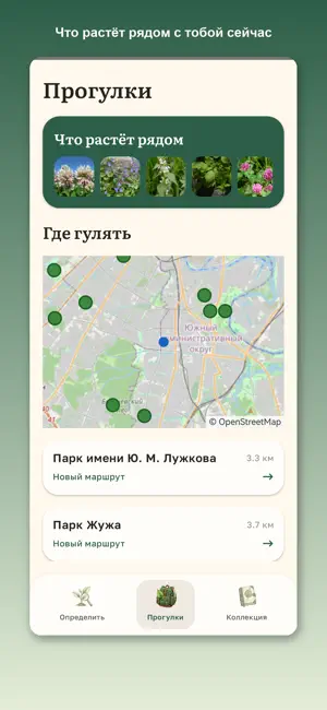 Что растёт screenshot 3