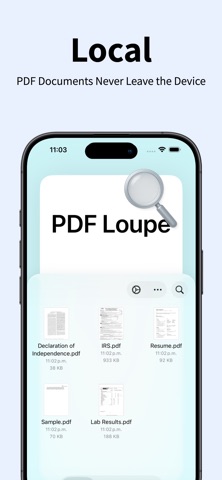PDF Loupe - Private AI Reader Screenshot 2 of 4