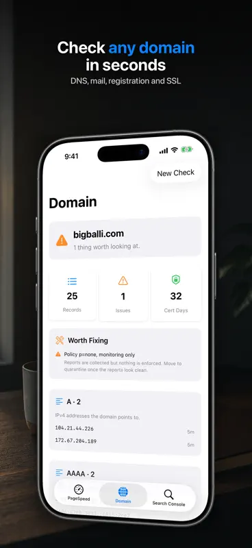 PageSpeed: Auditoria SEO Web screenshot 2 of 6