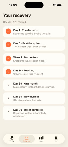 Reclaim Discipline Reset Screenshot 1 of 4