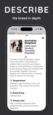 DogScan - Identify Dog Breeds screenshot
