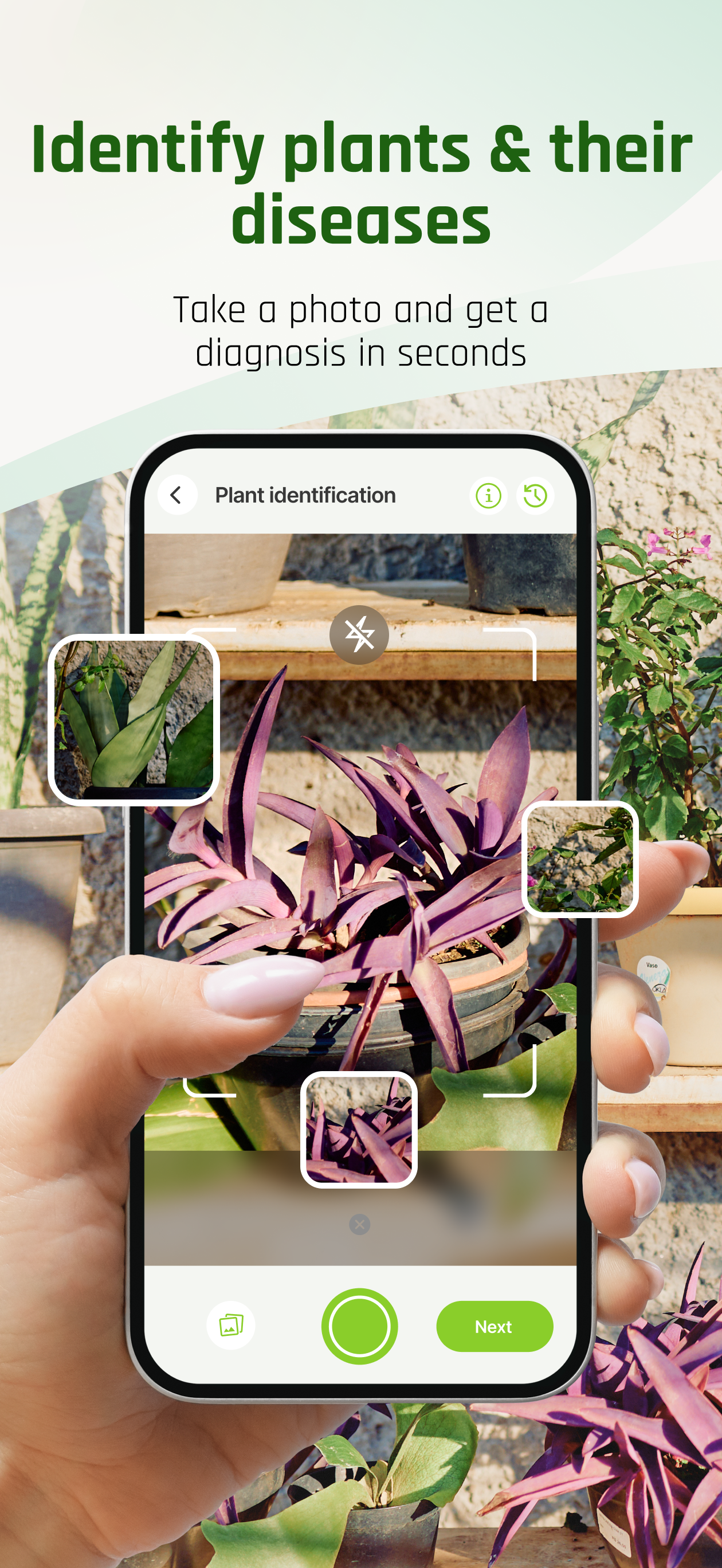 PLANTIS: Plant Identifier App