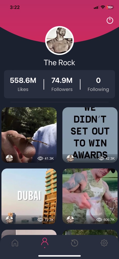SnapTik - Tik Video Downloader - The app provides a comprehensive user profile display, showcasing important metrics such as 'Likes' and 'Followers' next to a personalized grid of videos.