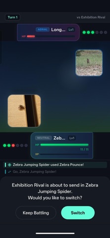 Terracatch Screenshot 8 of 8