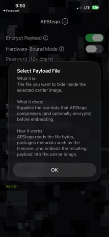 AEStego screenshot