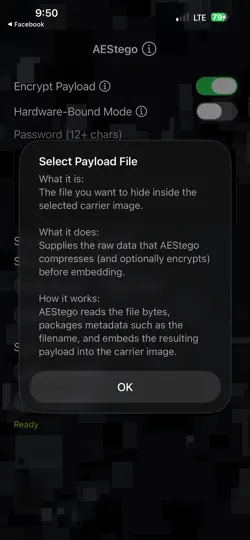 Screenshot von AEStego auf dem iPhone 5