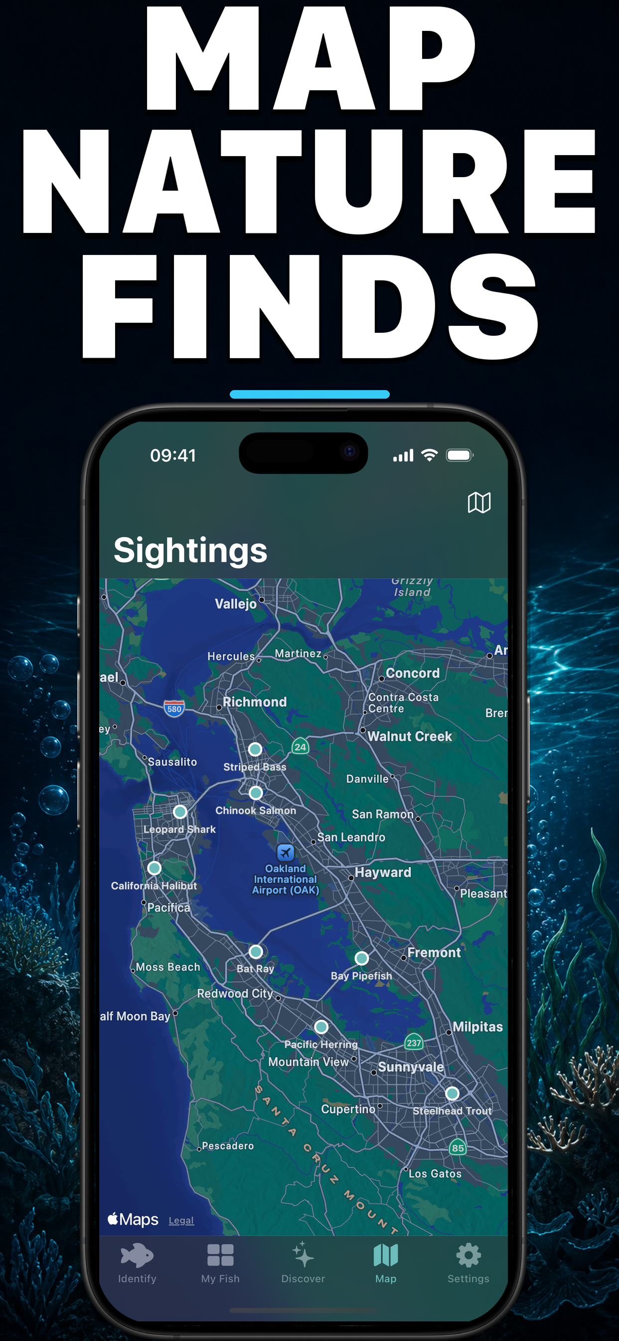 Fishr AI: Fish Identifier