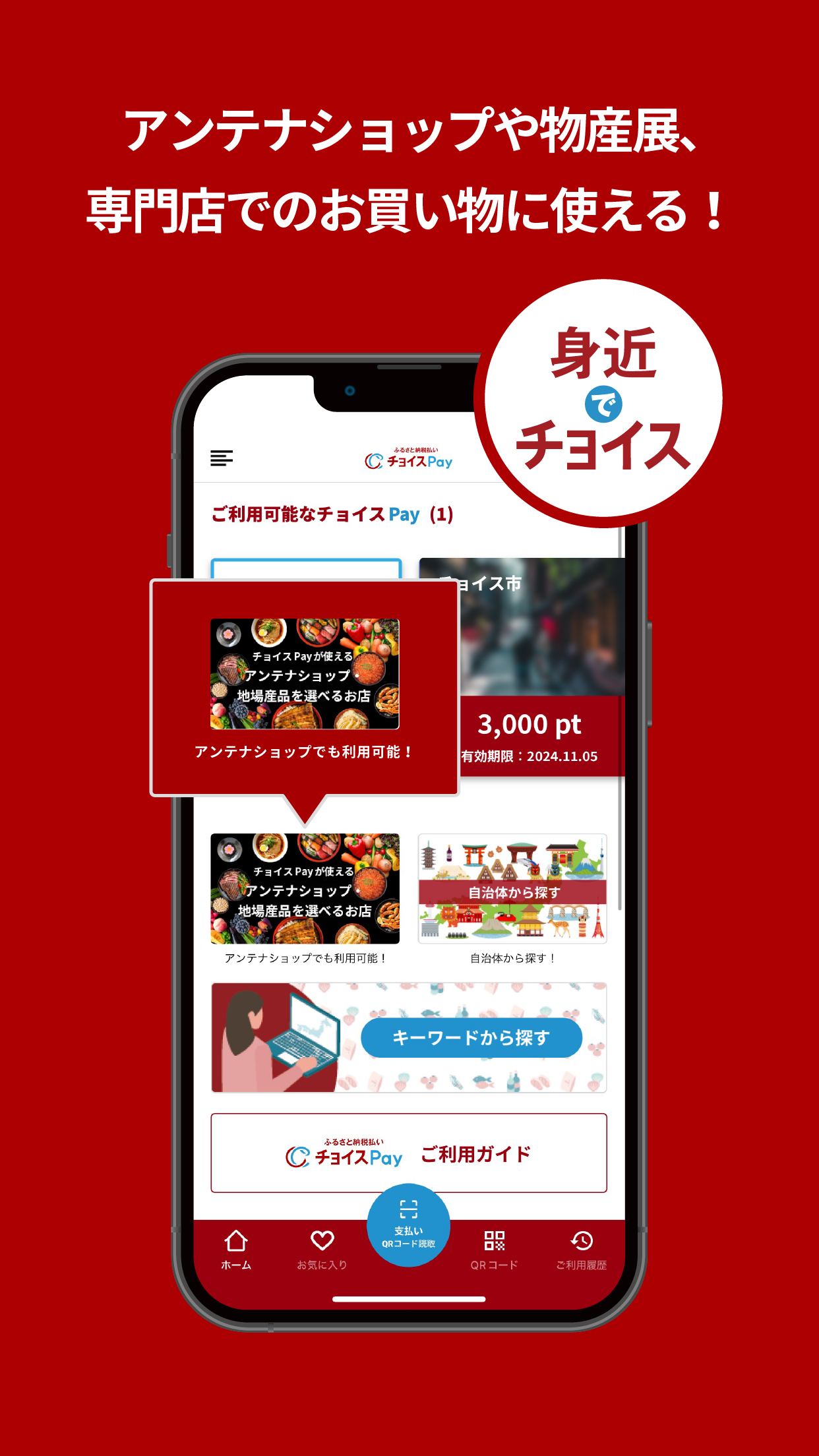 ふるさと納税払い チョイスPay