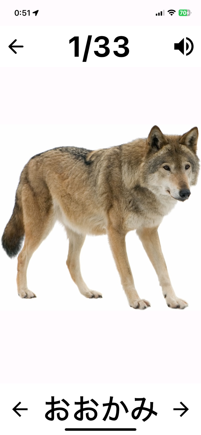 Flashcard Japanese beginner