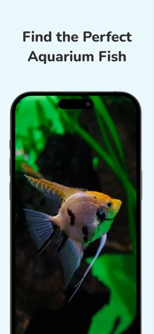 Fish Identifier AI Scanner iPhone screenshot