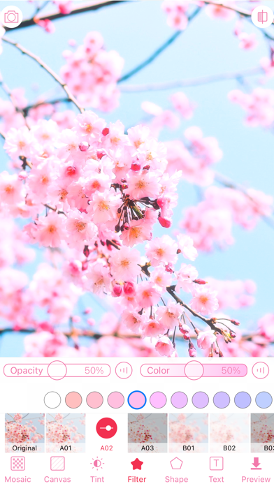 WataameCamera iPhone screenshot 4 - Photo & Video app