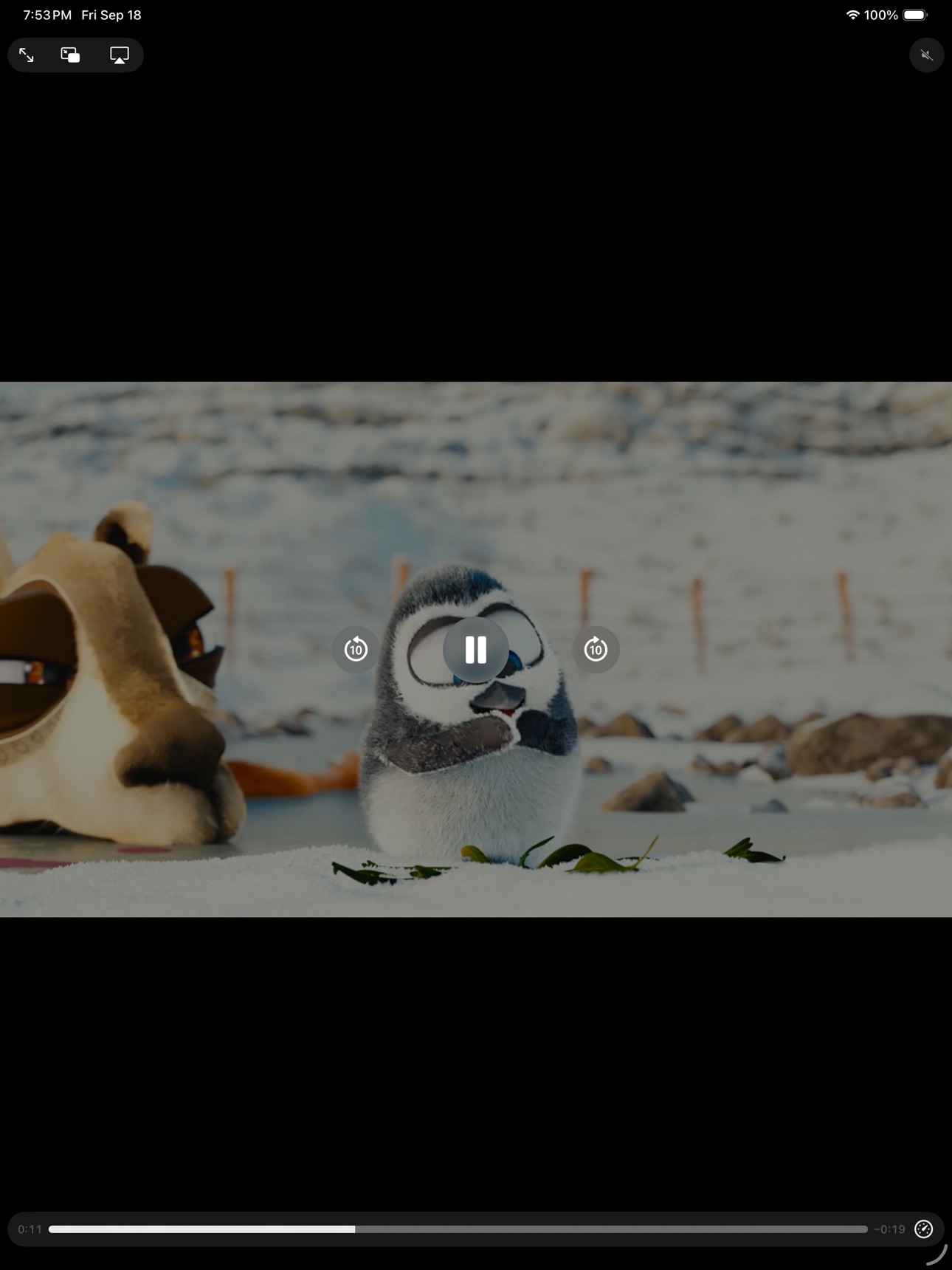 Screenshot 6 of Rinnovare Marquee Player