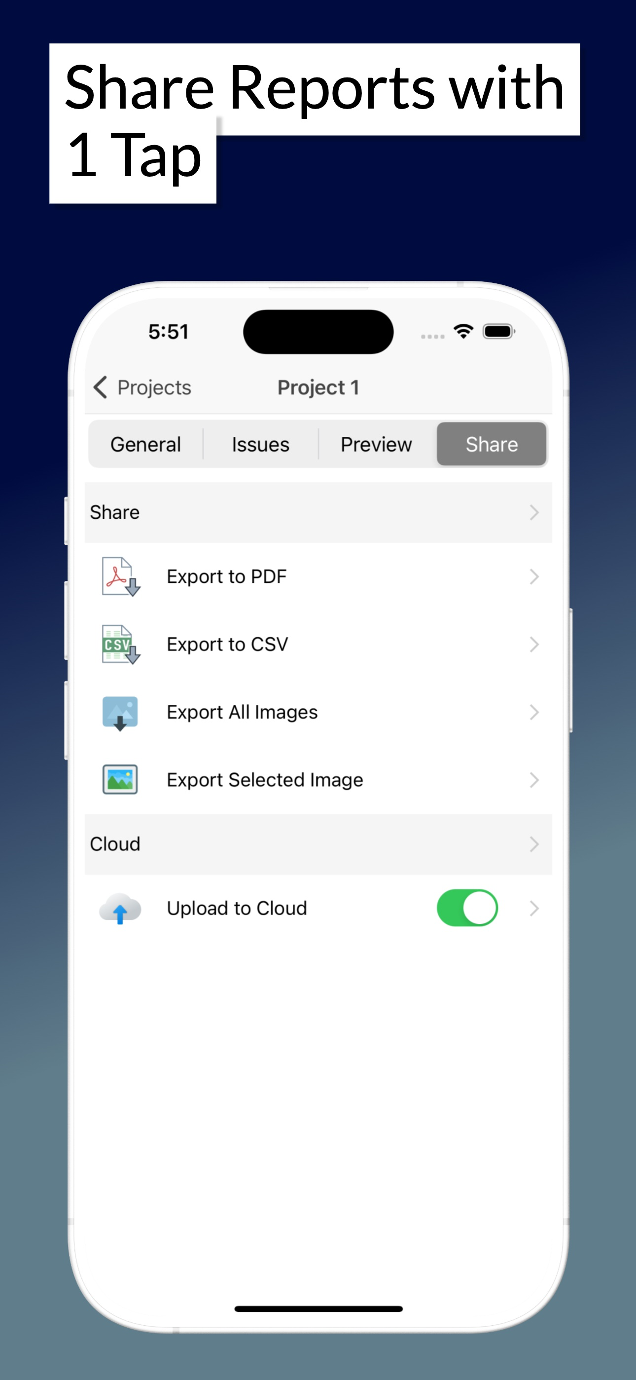 Site Audit - Punch, Snag Lists