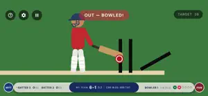 Cricket 2D screenshot 1